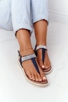 Brown || Blue