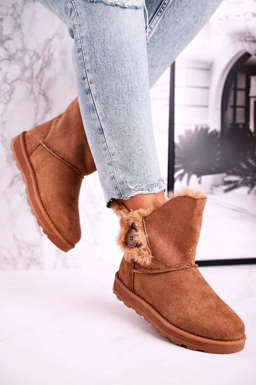 Women's Snow Boots Suede with Fur Brown Button