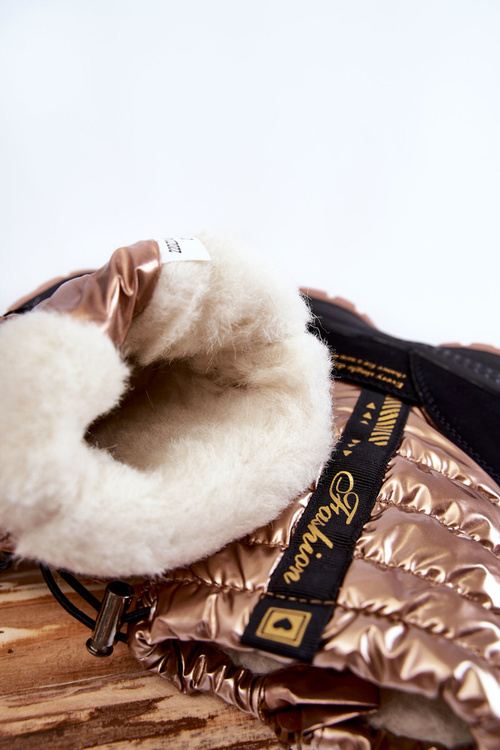 Children's Wool Warm Snow Boots With A Golden Delhi