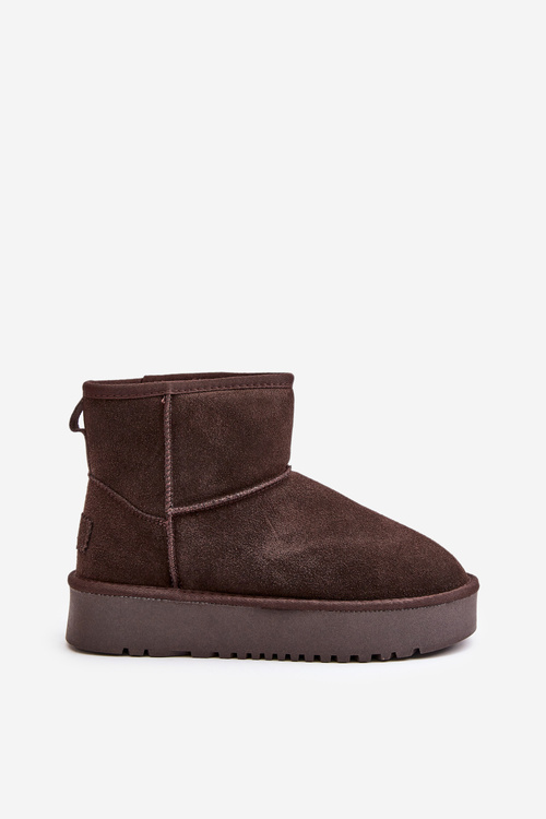 Women's Suede Snow Boots on Platform Above Ankle Brown Rianaella