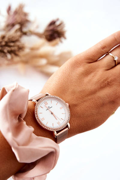 Women's Watch With Zircons On Mesh Bracelet Giorgio&Dario Champagne