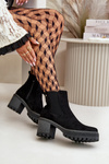 Women's Warm Ankle Boots On Heel Eco Suede Black Irissinae