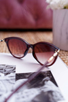 Prius PR-V13 Brown Transparent Sunglasses