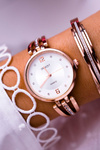 Women's Watch Ernest Zirconia Pink Gold Alendi