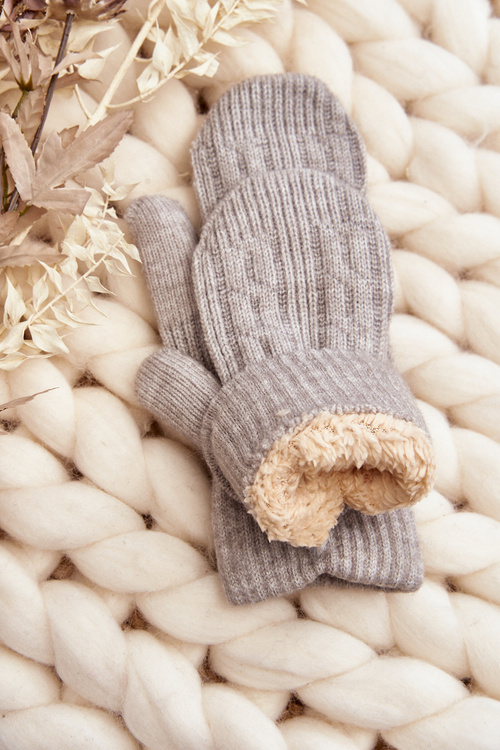 Warm Women's One-Fingered Gray Gloves