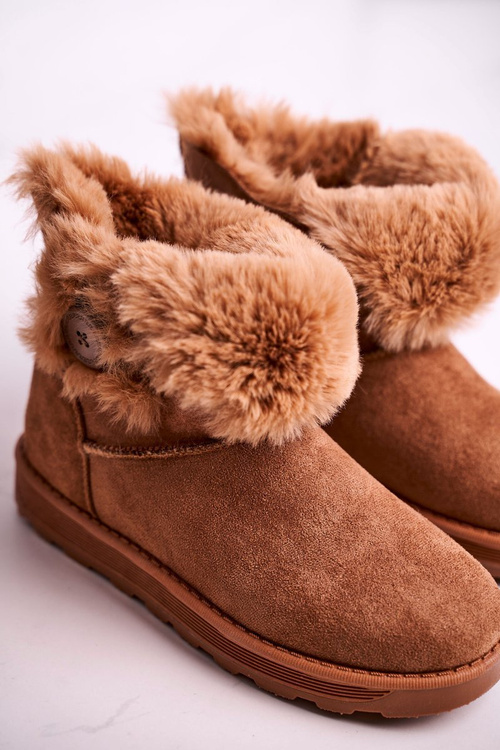 Women's Snow Boots Suede with Fur Brown Button