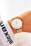Watch On Mesh Bracelet ERNEST Gold
