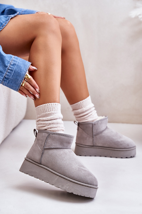 Women's Snow Boots On Platform Insulated With Fur Gray Xamella