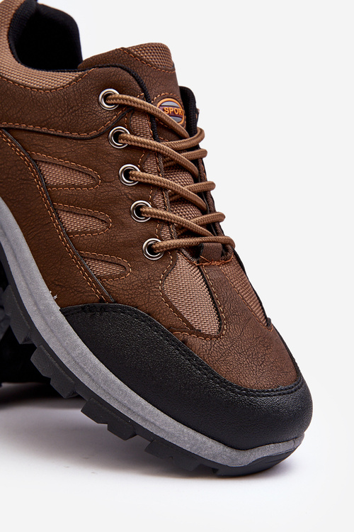 Men's Sport Trekking Shoes Brown Alveze