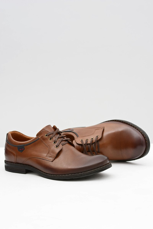 Brown Men's Half Boots NIKOPOL 1577