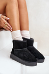 Women's Suede Snow Boots On Platform Above Ankle Black Rianaella