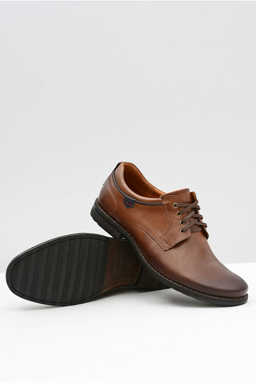 Brown Men's Half Boots NIKOPOL 1577