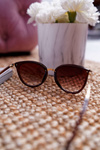 Prius KRE-08 Brown Sunglasses