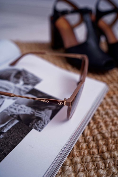 Okulary Przeciwsłoneczne Prius PR-V41 Kawowe Matowe