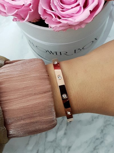 Women's Steel Bracelet With Zirconia Rose Gold 6mm Valerii