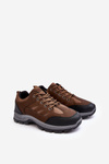 Men's Sport Trekking Shoes Brown Alveze 