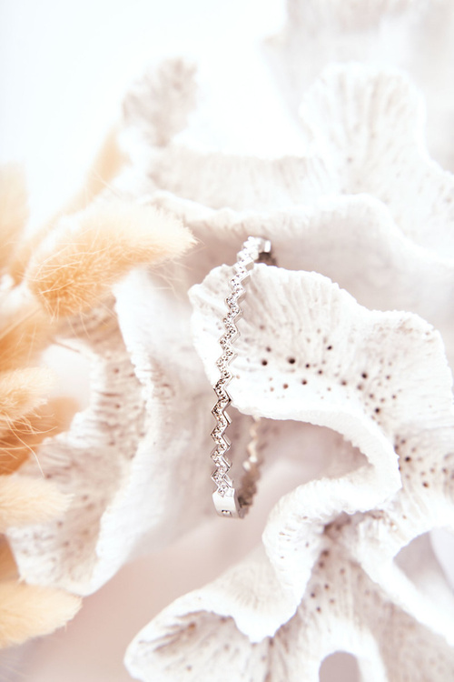 Women's Steel Bracelet with Zircons Silver Crown