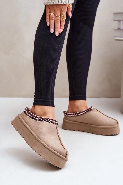 Low Women's Snow Boots With Embroidery On Platform Dark Beige Narirya