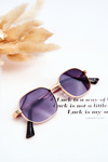 Trendy Sunglasses Ful Vue V160049 Golden-Purple