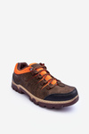 Men's Low Trekking Shoes Brown Orlando