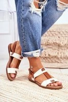 White || Brown