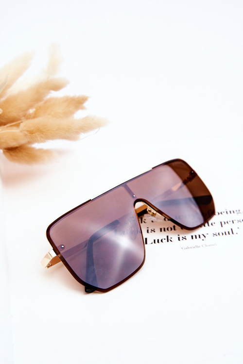 Trendy Sunglasses 400UV Prius V310 Gold-Brown