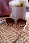 Prius KRE-08 Brown Transparent Center Sunglasses