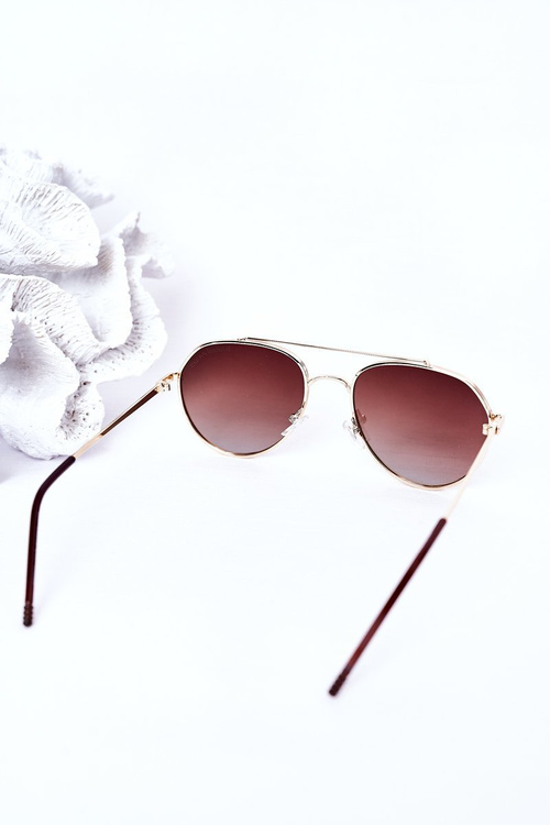 Polarized Sunglasses Aviator Brown