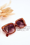 Classic Women's Sunglasses V110061 Bright brown