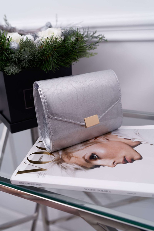 Women's Handbag Silver Lacquered Stylish Clutch Bag