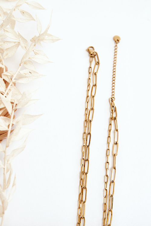 Double Chain With Clovers And Butterflies Gold