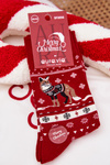 Men's Christmas Socks Fox in Sweater Red