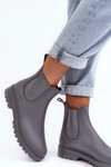 Women's Low Boots Gray Birella