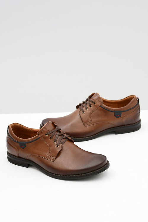 Brown Men's Half Boots NIKOPOL 1577