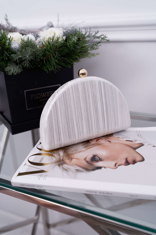 Women's Silver Evening Handbag