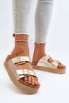 Women's Platform Sandals with Gold Buckles Lolpey