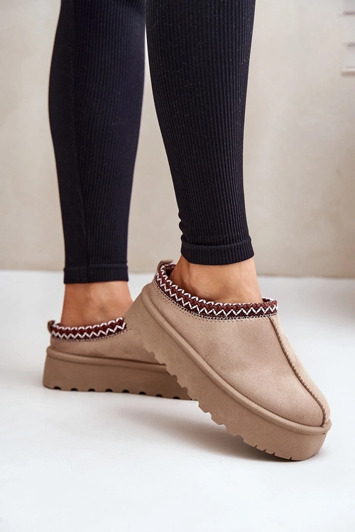 Low Women's Snow Boots With Embroidery On Platform Dark Beige Narirya