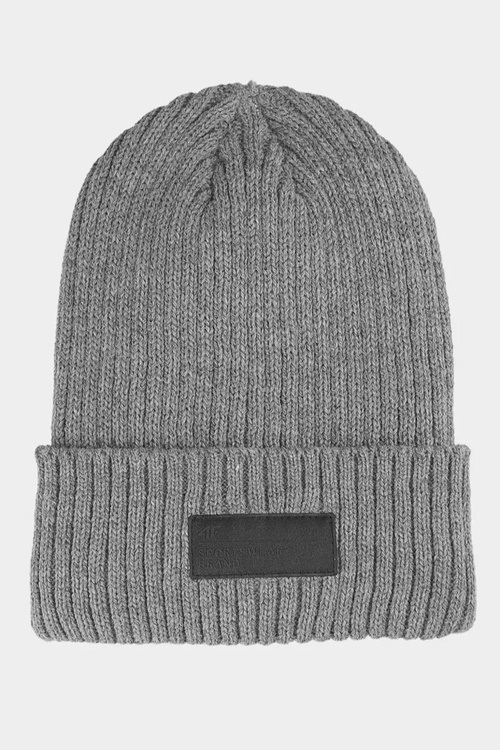Men's Insulated Winter Hat 4F 4FAW23ACAPM306-24M Grey