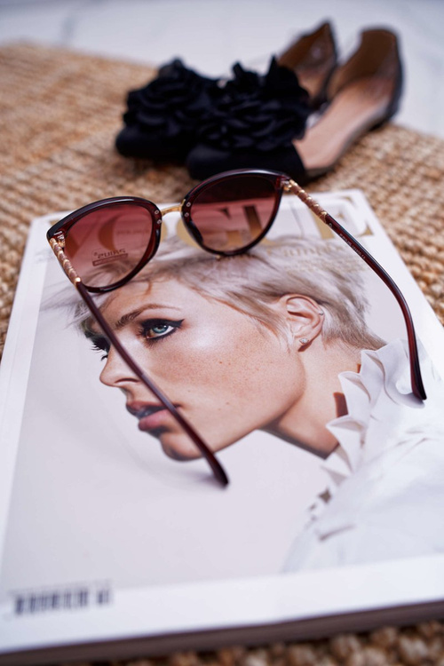 Prius PR-V09 Sunglasses Brown