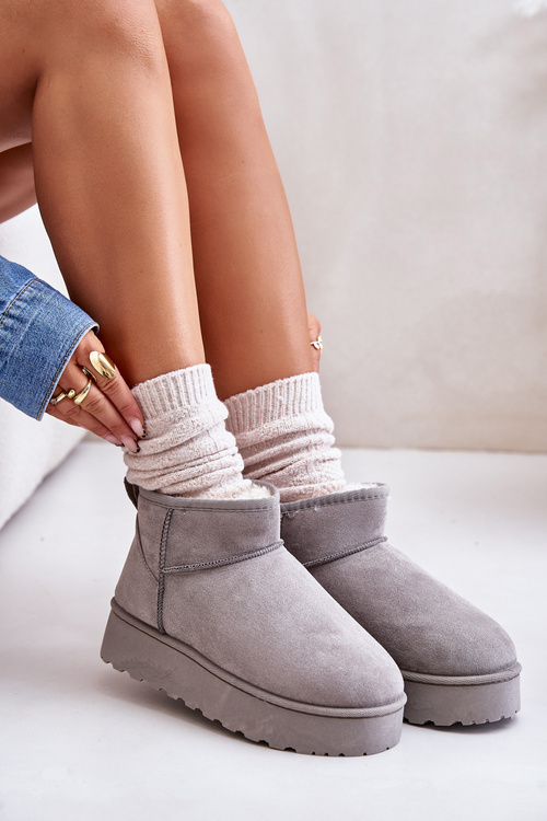 Women's Snow Boots On Platform Insulated With Fur Gray Xamella